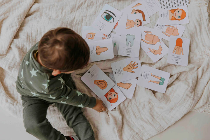 Flash Cards El Cuerpo Humano Cartas Didácticas