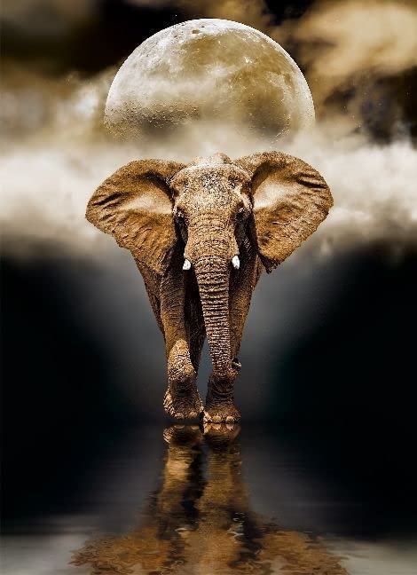 Rompecabezas 1000 Piezas Elefante Y Luna