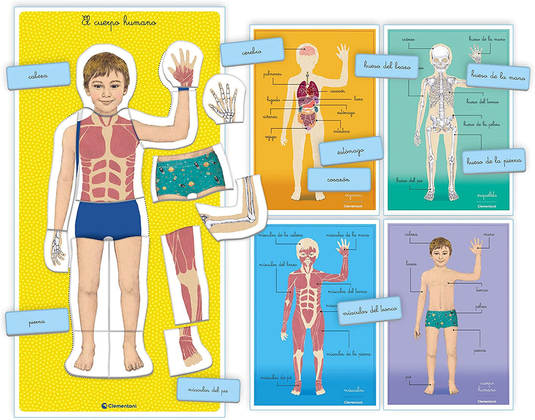 Juego Montessori El Cuerpo Humano Para Niños