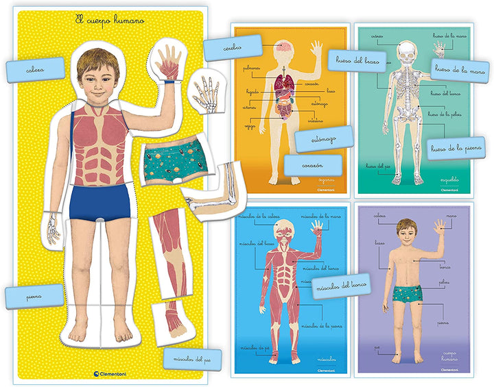 Juego Montessori El Cuerpo Humano Para Niños