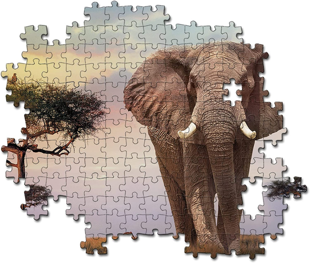 Rompecabezas 500 Piezas Atardecer Africa