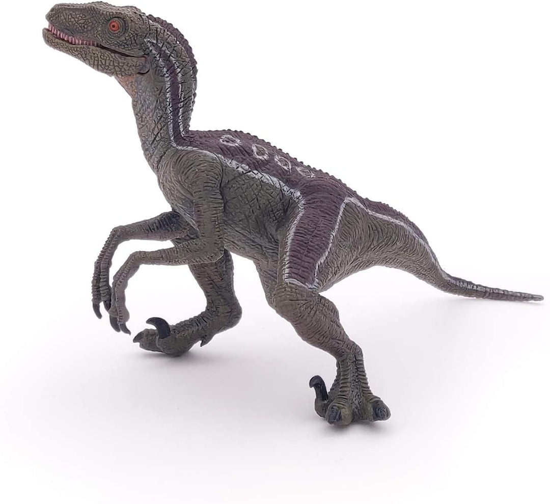 Dinosaurio Velociraptor Pintado a Mano
