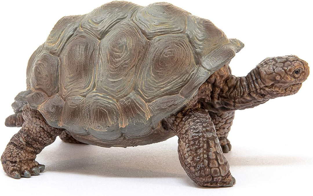 Figura Animales Tortuga Gigante Pintado A Mano