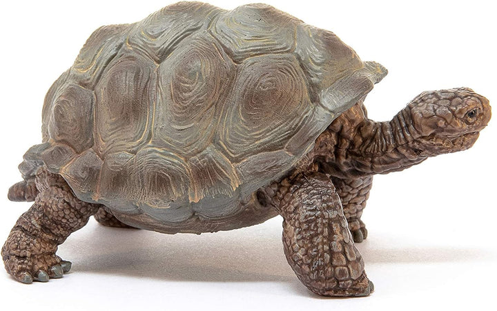Figura Animales Tortuga Gigante Pintado A Mano