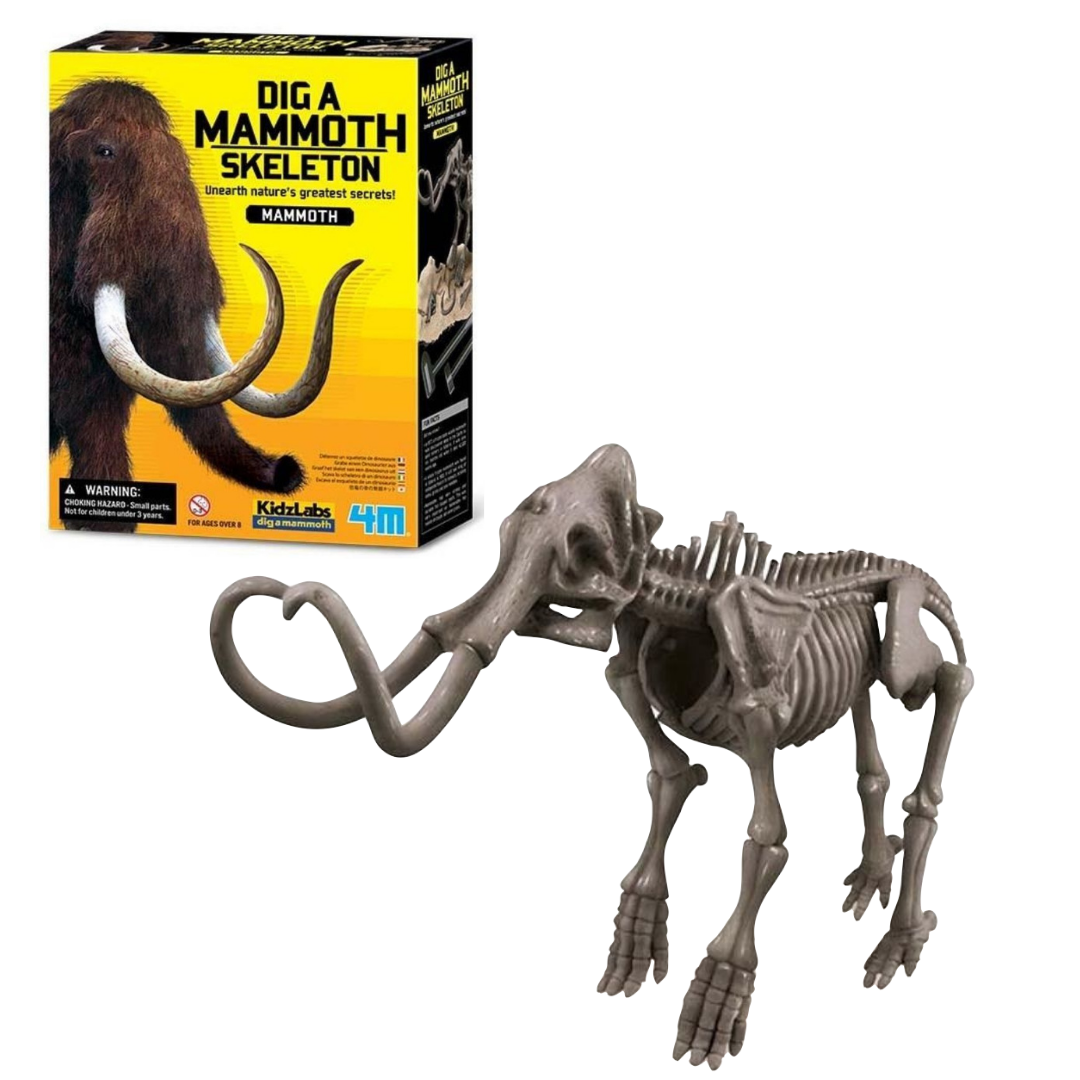 Set de Arqueologia Mamut Fosil