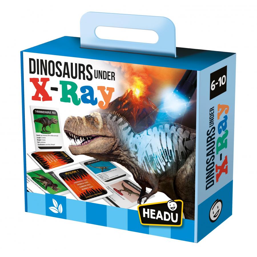 Juego Rompecabezas Dinosaurios Bajo Rayos X Niños