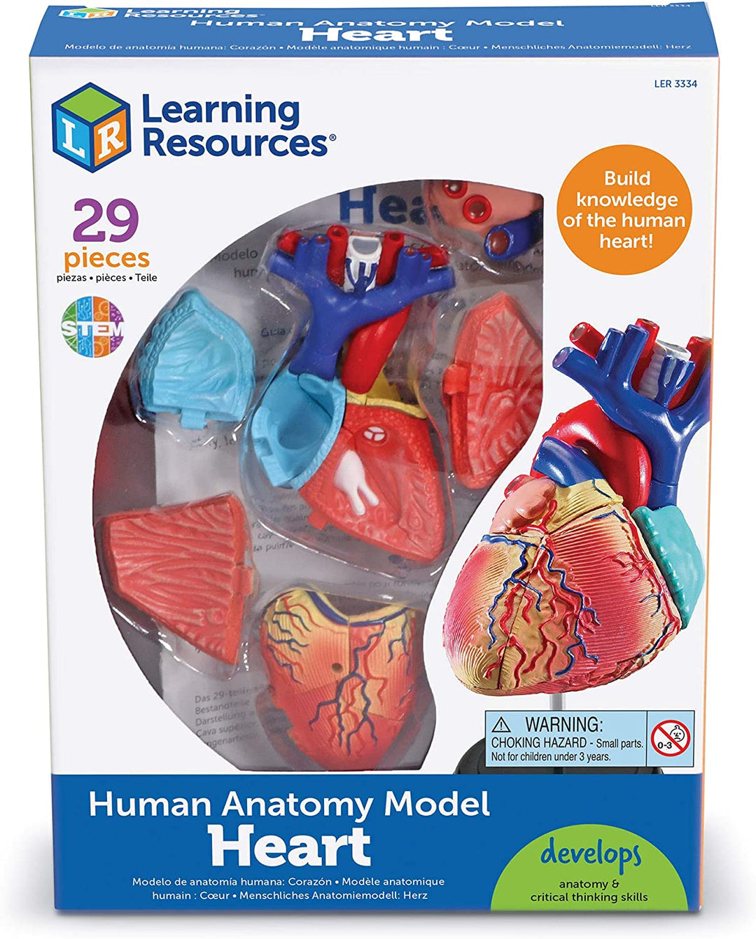 Modelo Educativo Del Corazón a Escala