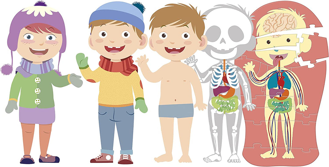 Rompecabezas El Cuerpo Humano 8 En 1