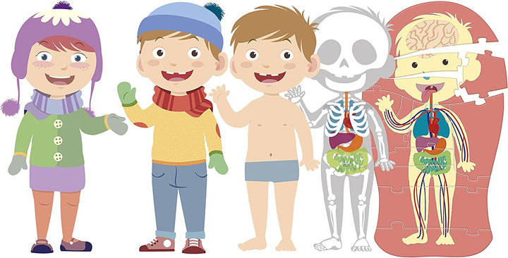 Rompecabezas El Cuerpo Humano 8 En 1