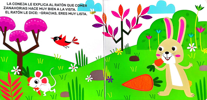 Libro Infantil Pequenas Texturas Alimentos