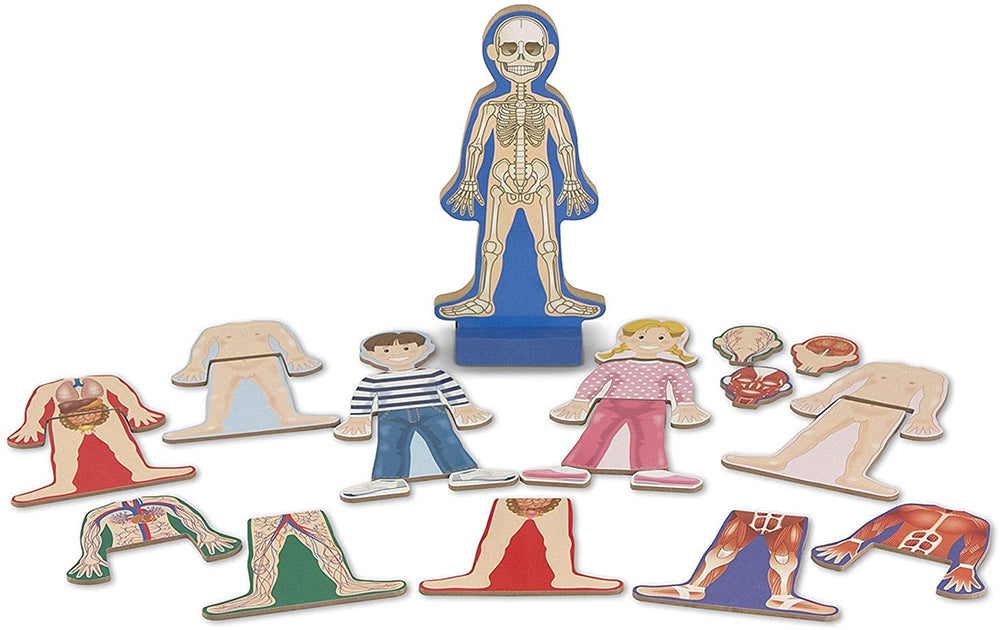 Juego Magnético Cuerpo Humano