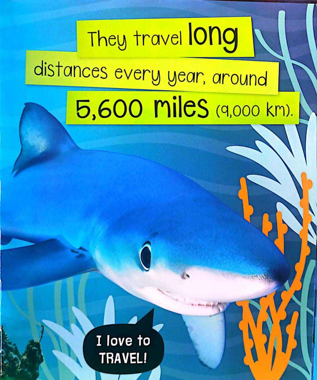 Libro Para Ninos Tiburones Sensorial