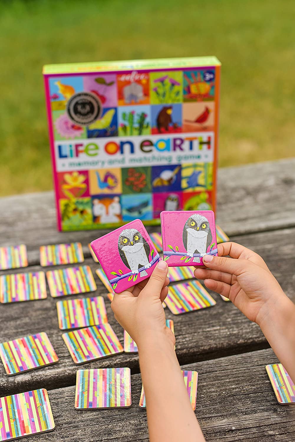 Juego De Memoria Vida En La Tierra Niños