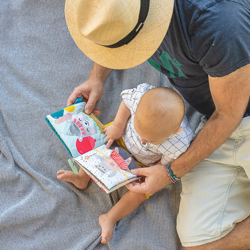 Libro Sensorial Estimulación Temprana ¿Que Usa Paul? Bebes