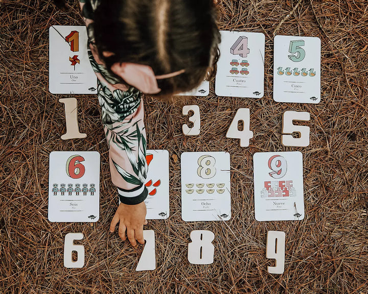 Flash Cards Kocodio Los Números