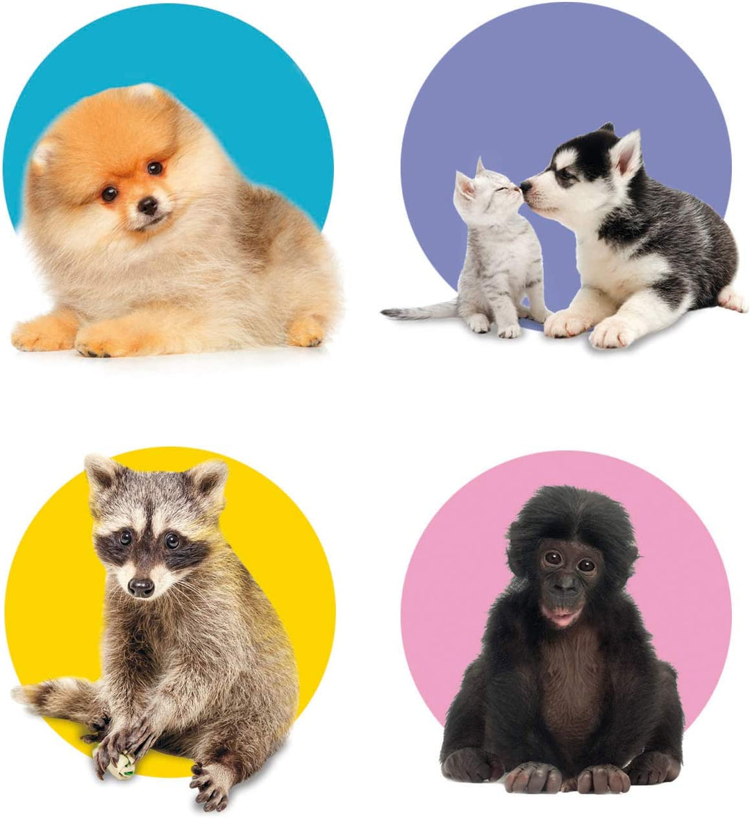 Juego De Memoria Animales De La Granja Y Salvajes Niños