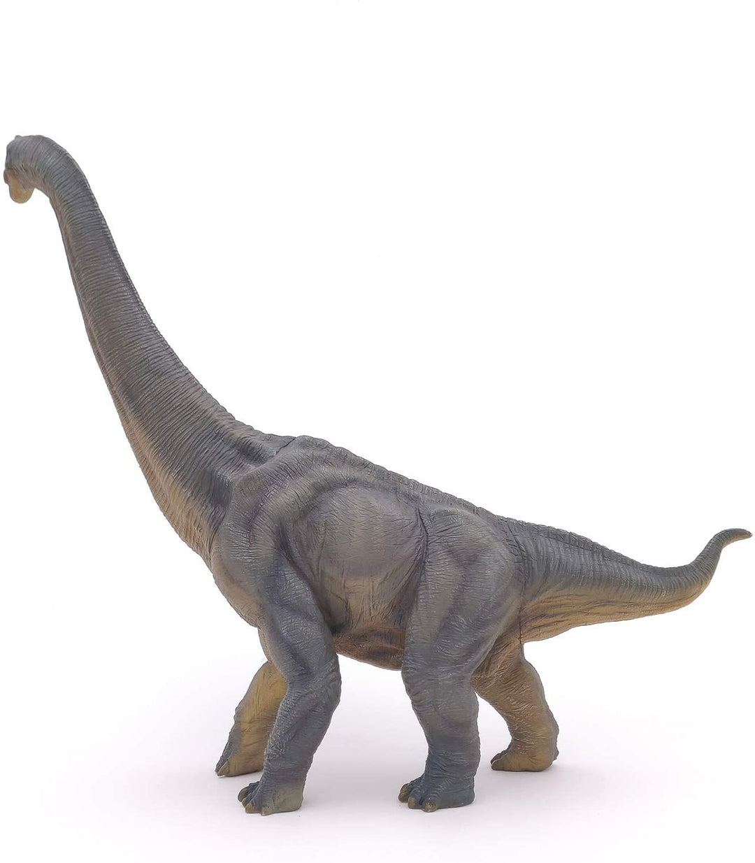Dinosaurio Brachiosaurus Pintado a Mano