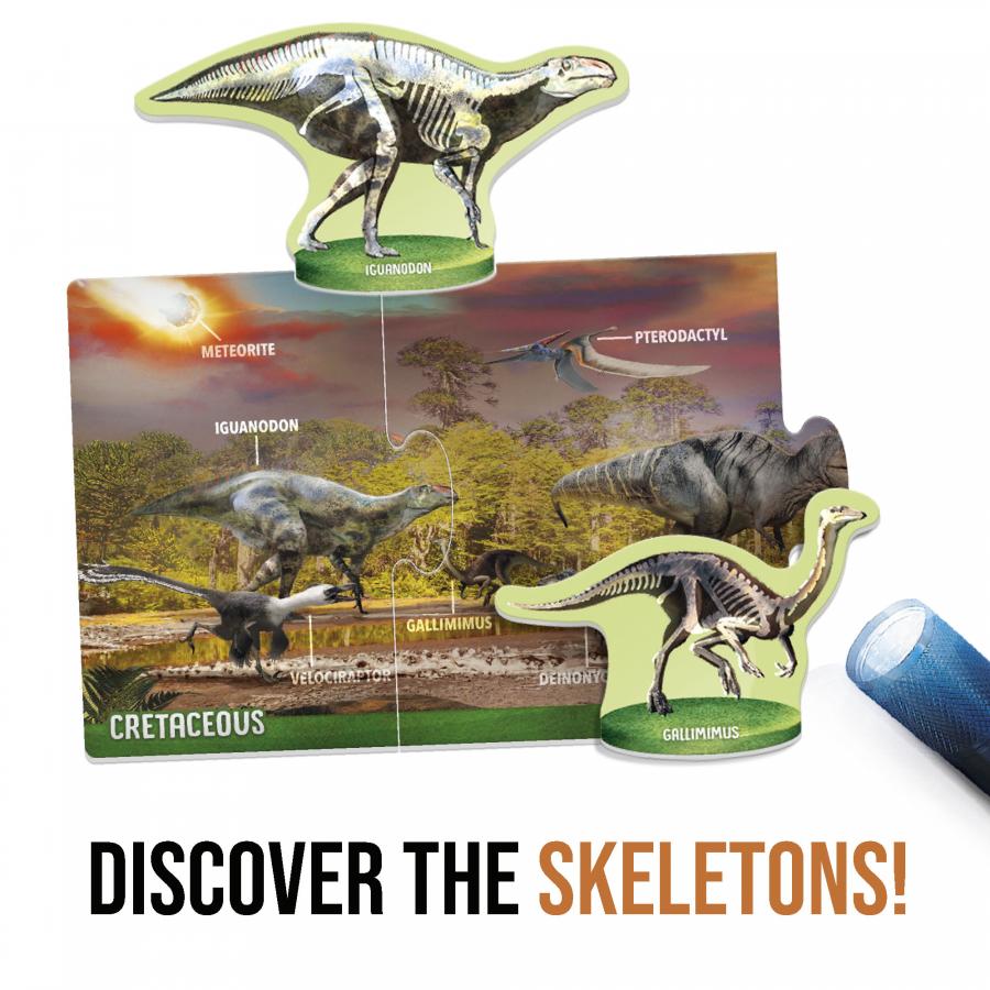Juego Rompecabezas Dinosaurios Bajo Rayos X Niños