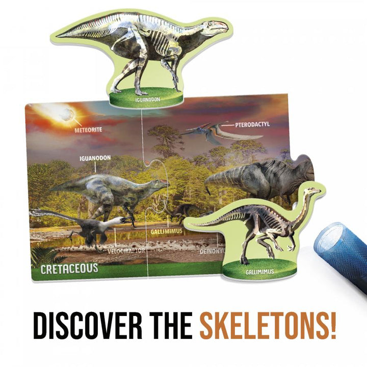 Juego Rompecabezas Dinosaurios Bajo Rayos X Niños