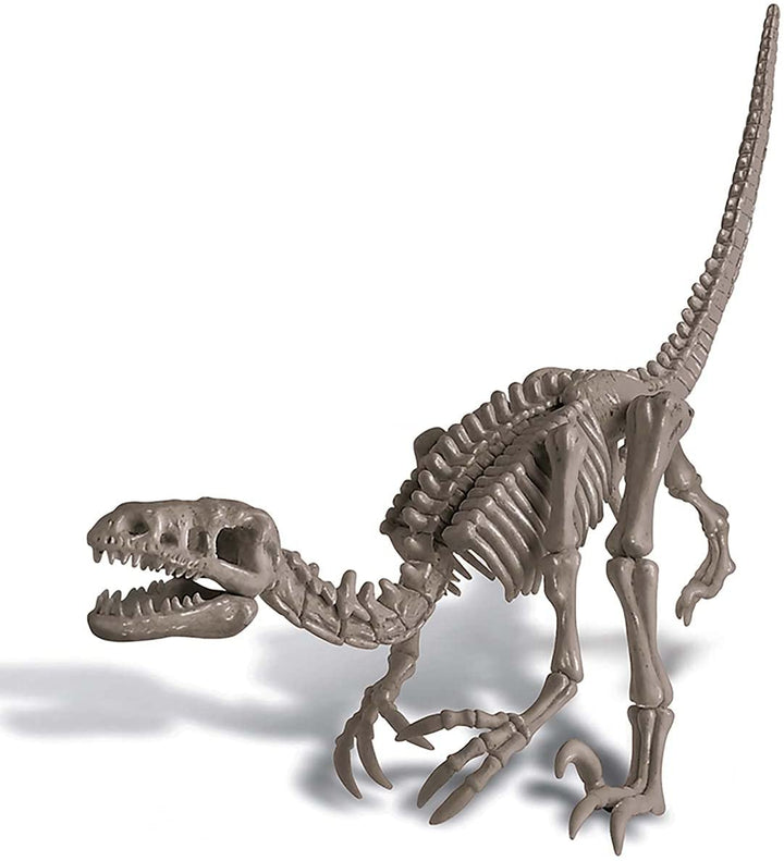 Dinosaurio Set de Arqueología Velociraptor