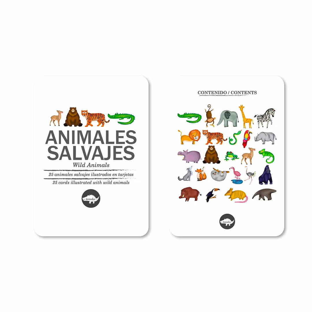 Flash Cards Animales Salvajes Cartas Didácticas