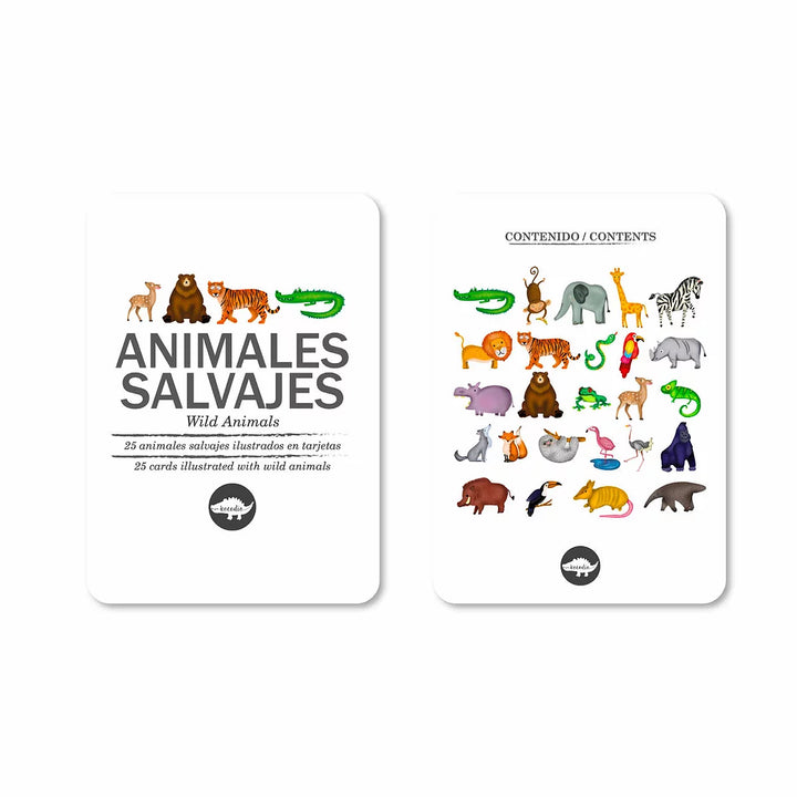 Flash Cards Animales Salvajes Cartas Didácticas