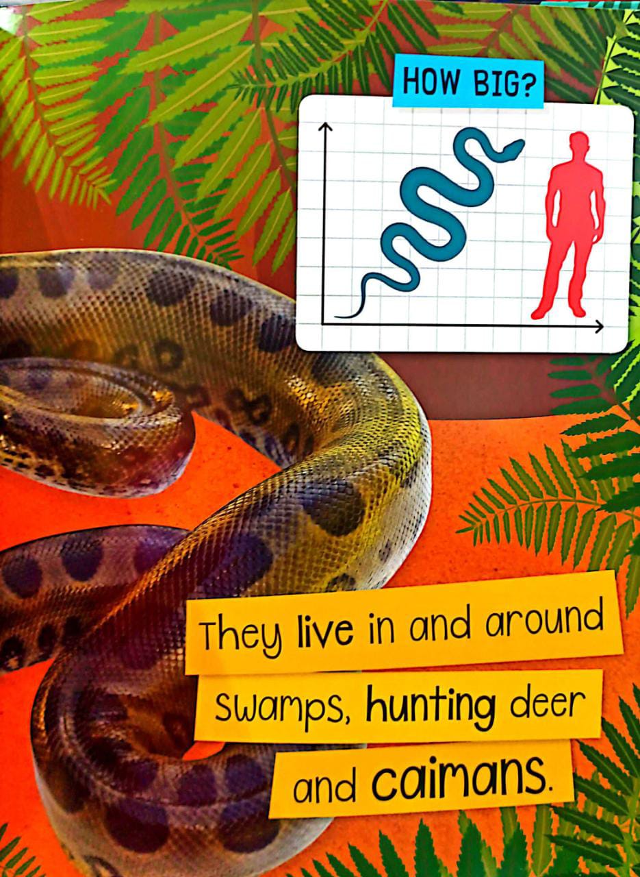 Libro Para Ninos Animales Sensorial