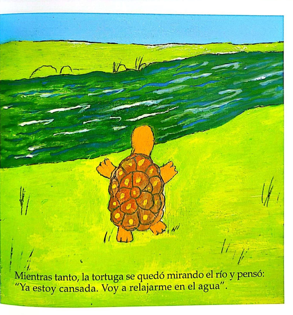 Libro La Tortuga Ganadora Amalia Low