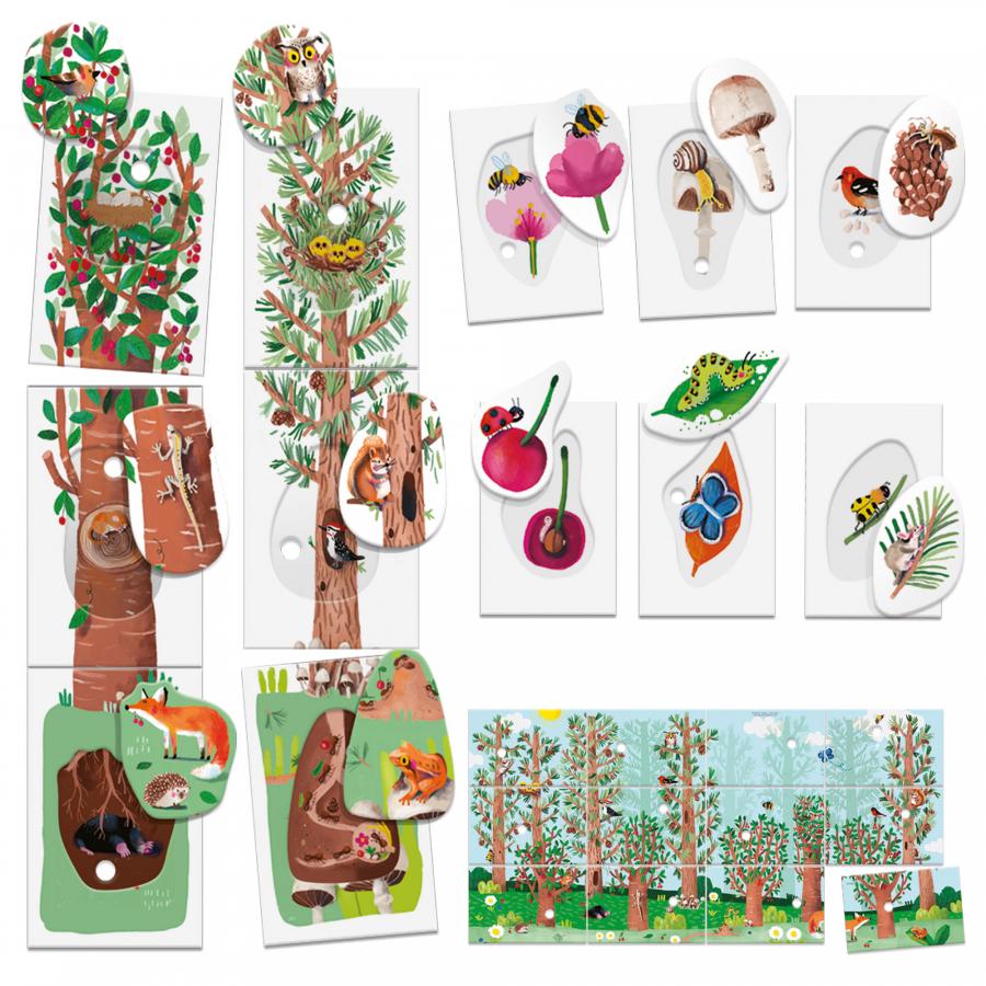 Flash Cards  Montessori La Naturaleza