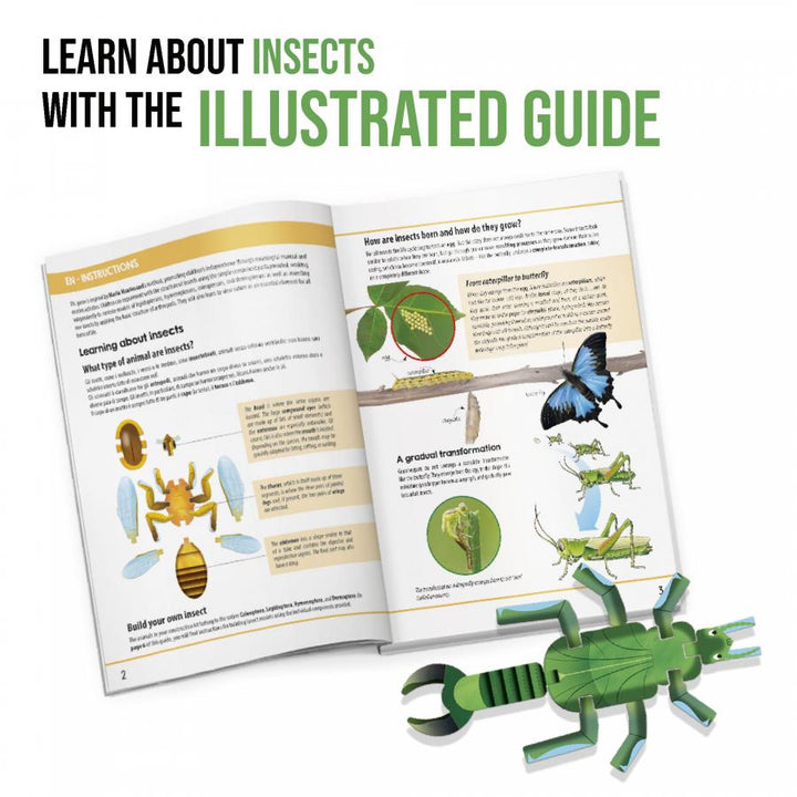 Juego Montessori Constructor De Insectos