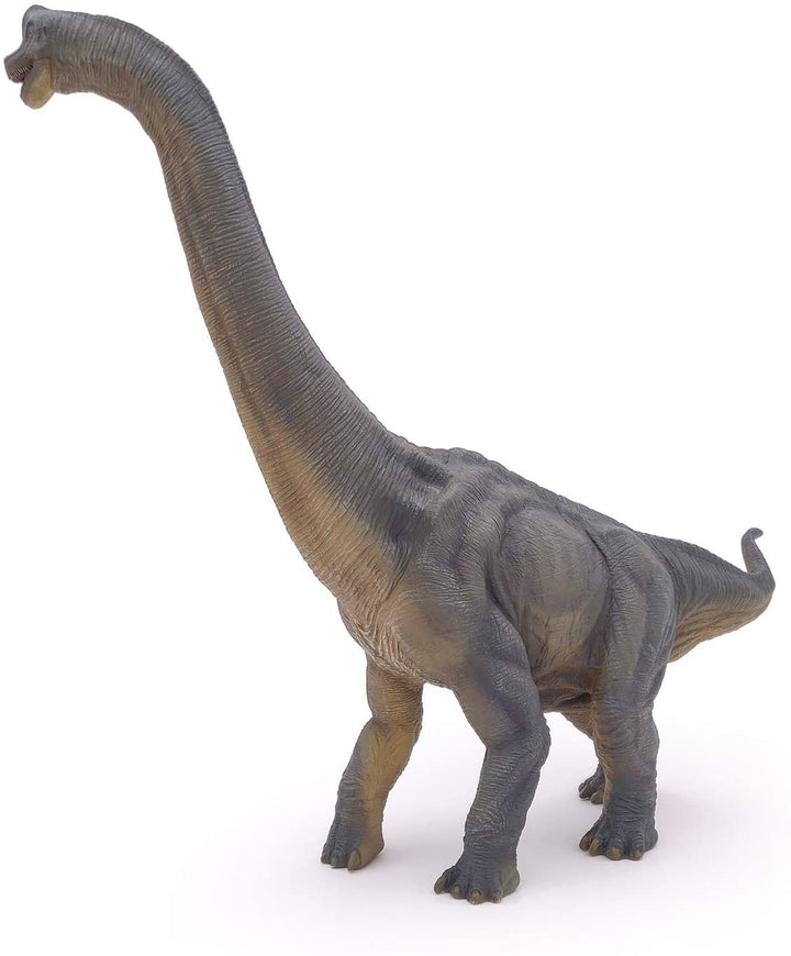 Dinosaurio Brachiosaurus Pintado a Mano