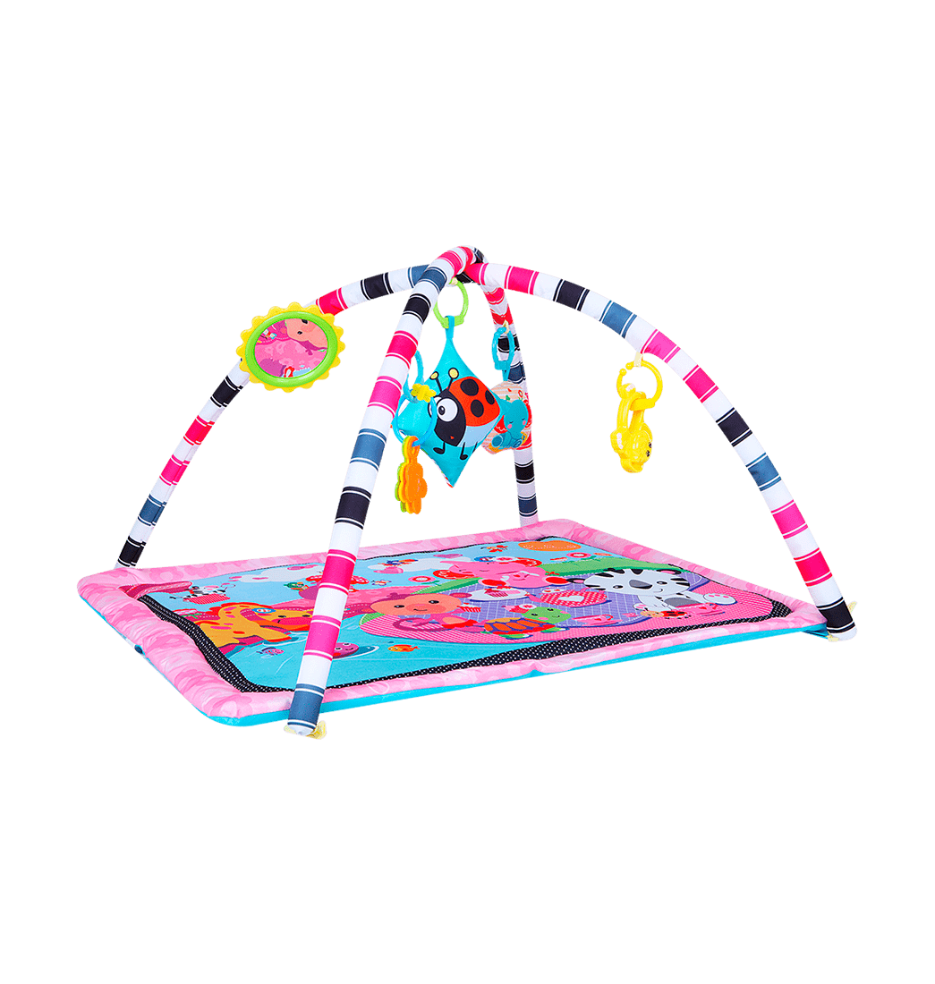 Gimnasio Estimulación Temprana Para Bebe