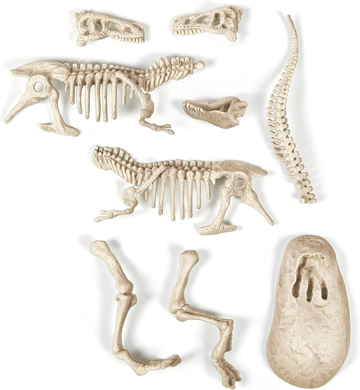 Juego Experimento Fosil De Dinosaurio T Rex