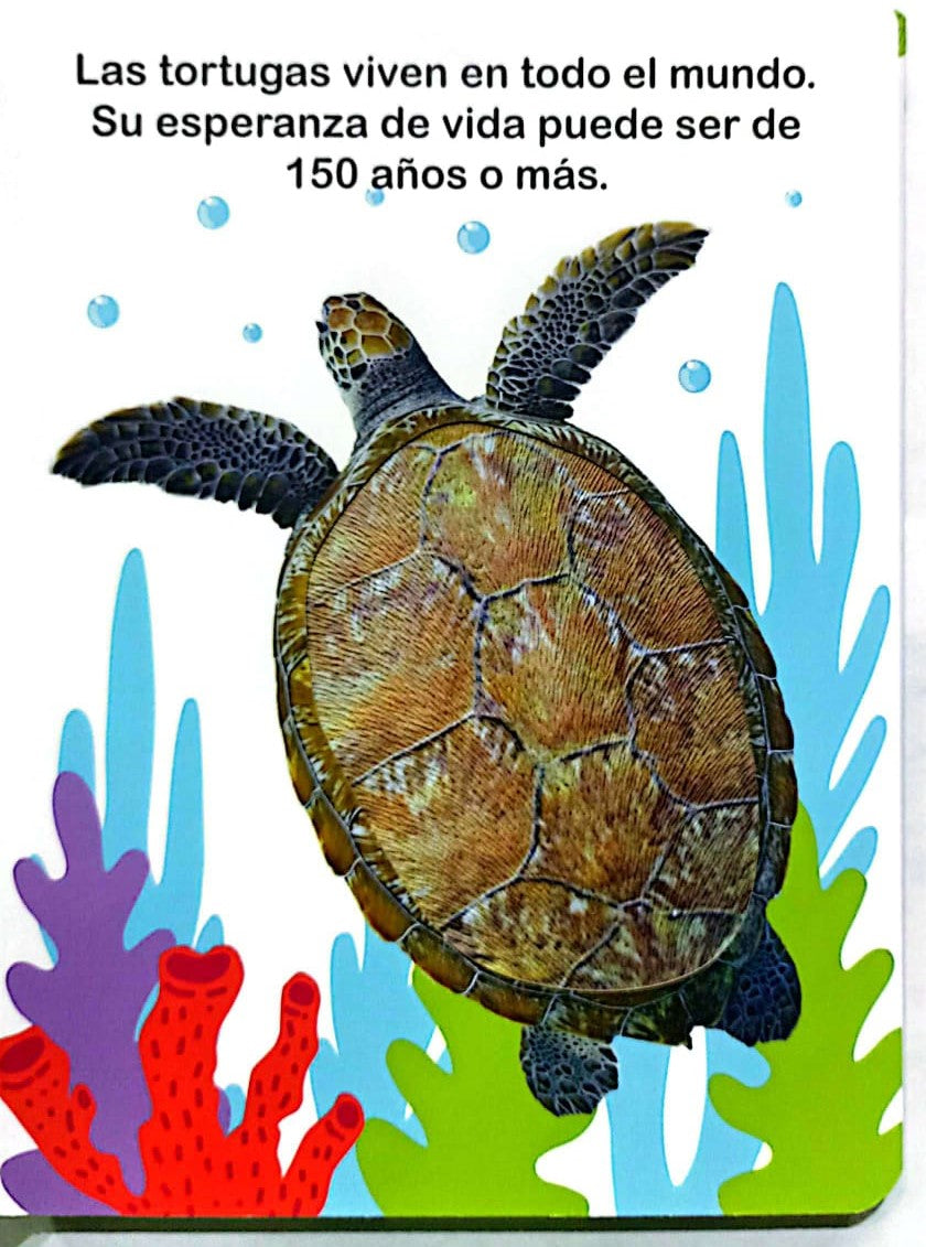 Libro Sensorial Tocar Y Sentir Animales Marinos