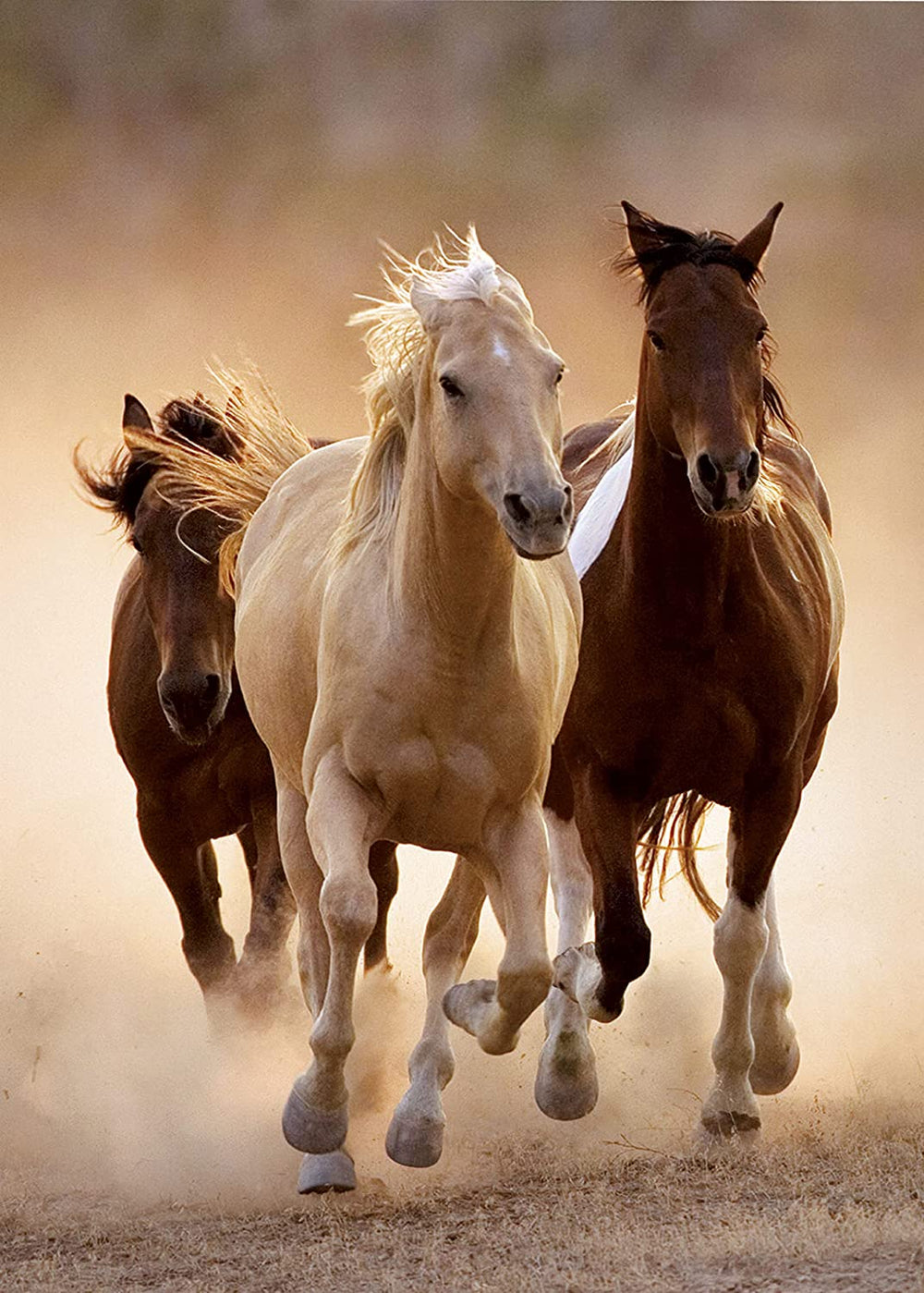 Rompecabezas 1000 Piezas Caballos Corriendo