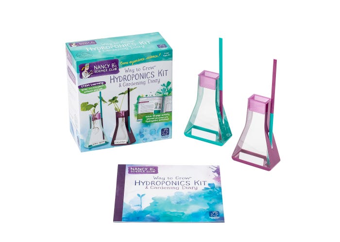 Experimento cultivo hidropónico