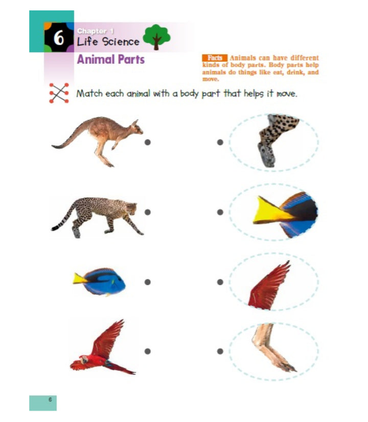 Libro Kumon Stickers De Ciencias Para Kinder En Ingles