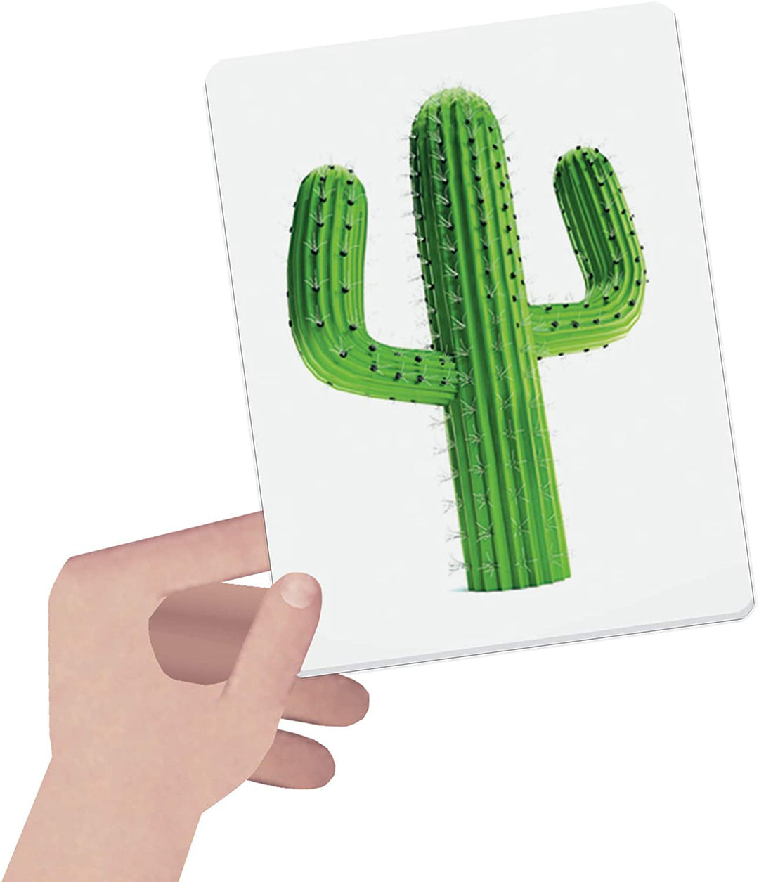 Flashcards Montessori Los Colores