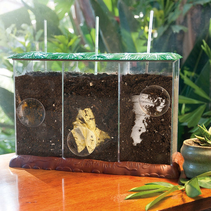 Set De Experimentos Proceso del Compostaje Para Niños
