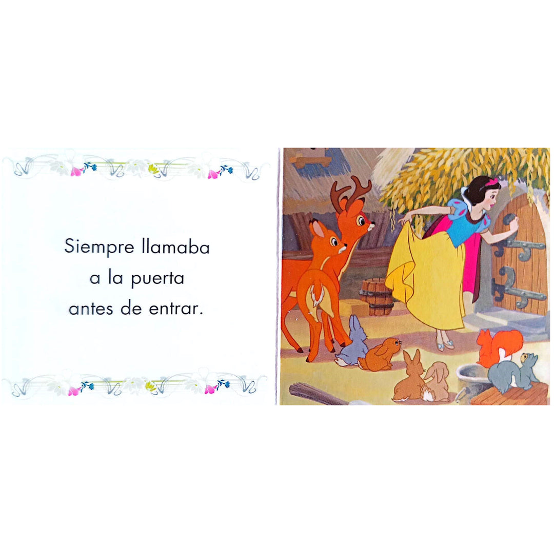 Mi Primer Biblioteca Mini Libros Disney Princesas
