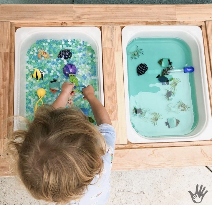 Set de Herramientas y Pinzas Motricidad Fina Para Niños