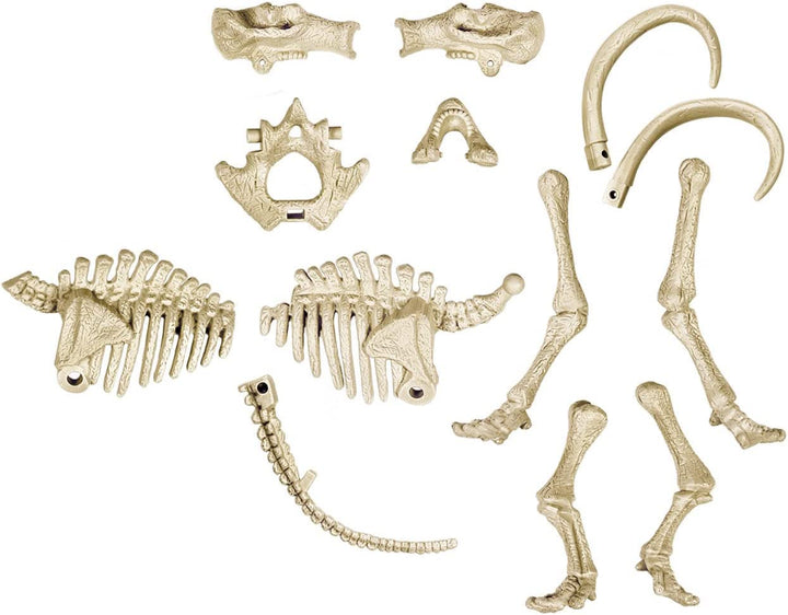 Juego Experimento Fosil De Dinosaurio Mamut
