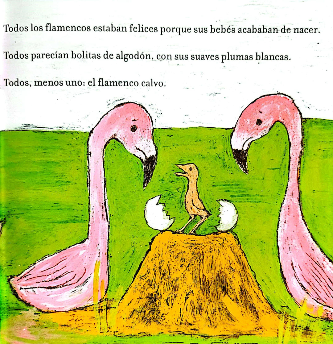 Libro Infantil El Flamenco Calvo Amalia Low