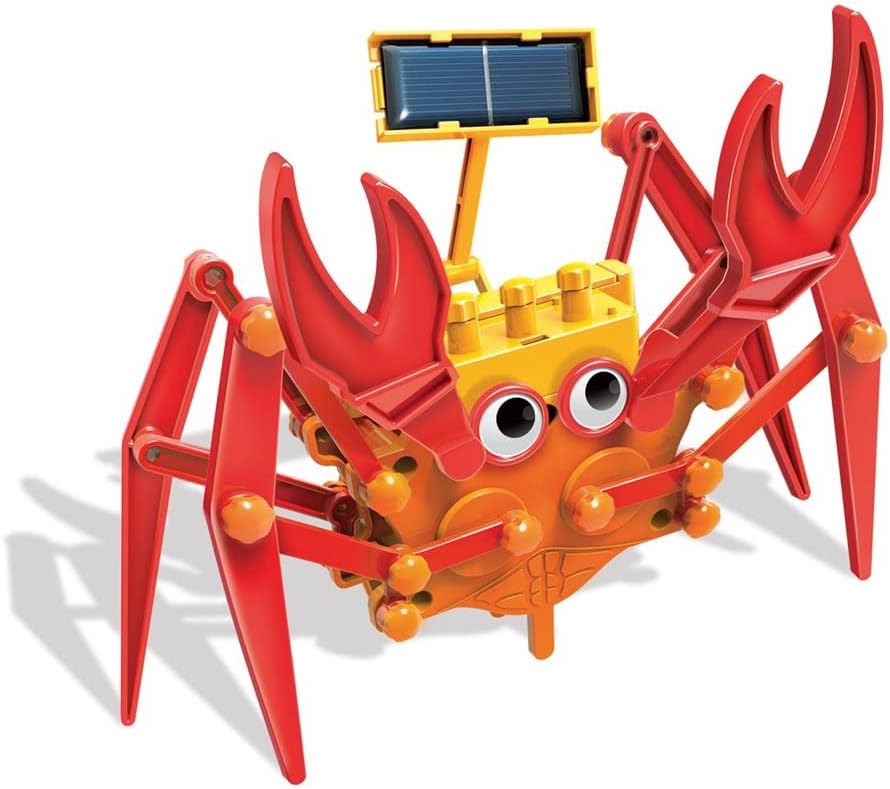 Experimento Cangrejo Hibrido Con Panel Solar STEM