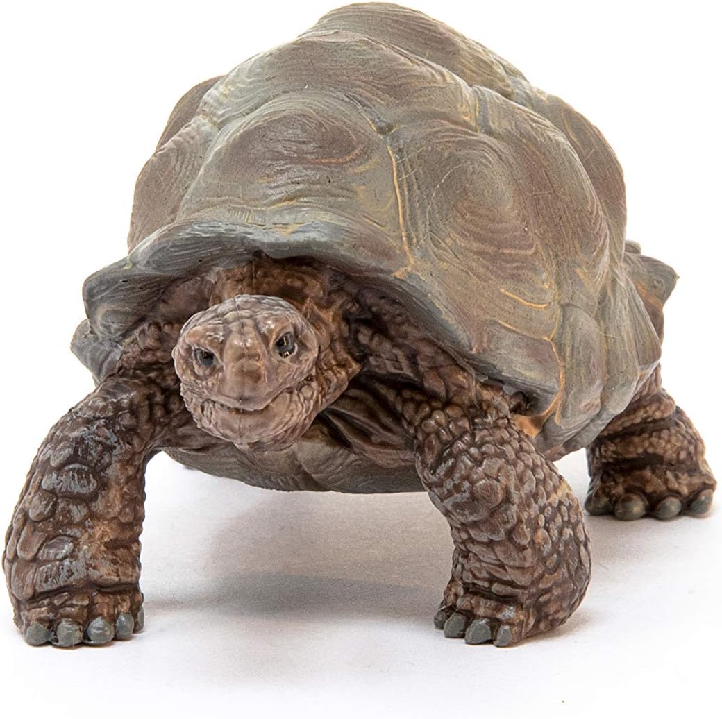 Figura Animales Tortuga Gigante Pintado A Mano