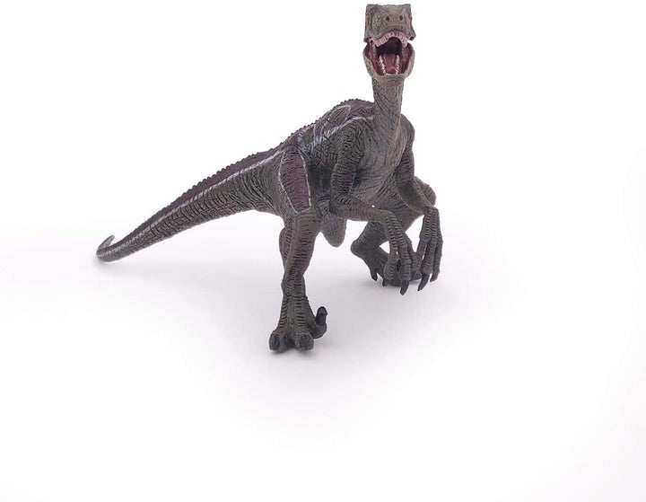 Dinosaurio Velociraptor Pintado a Mano