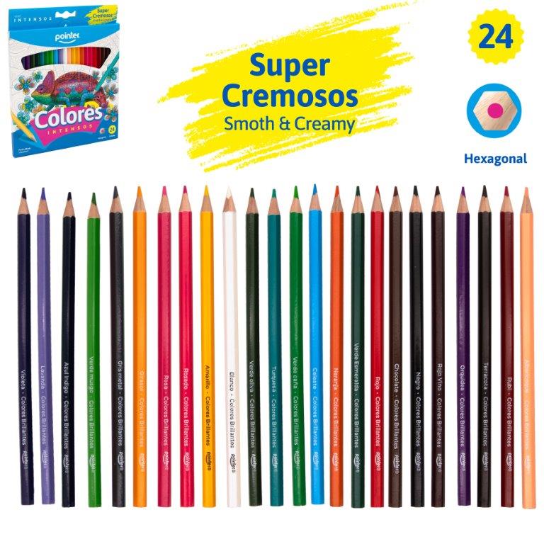 Caja De Colores Hexagonales 24 Und