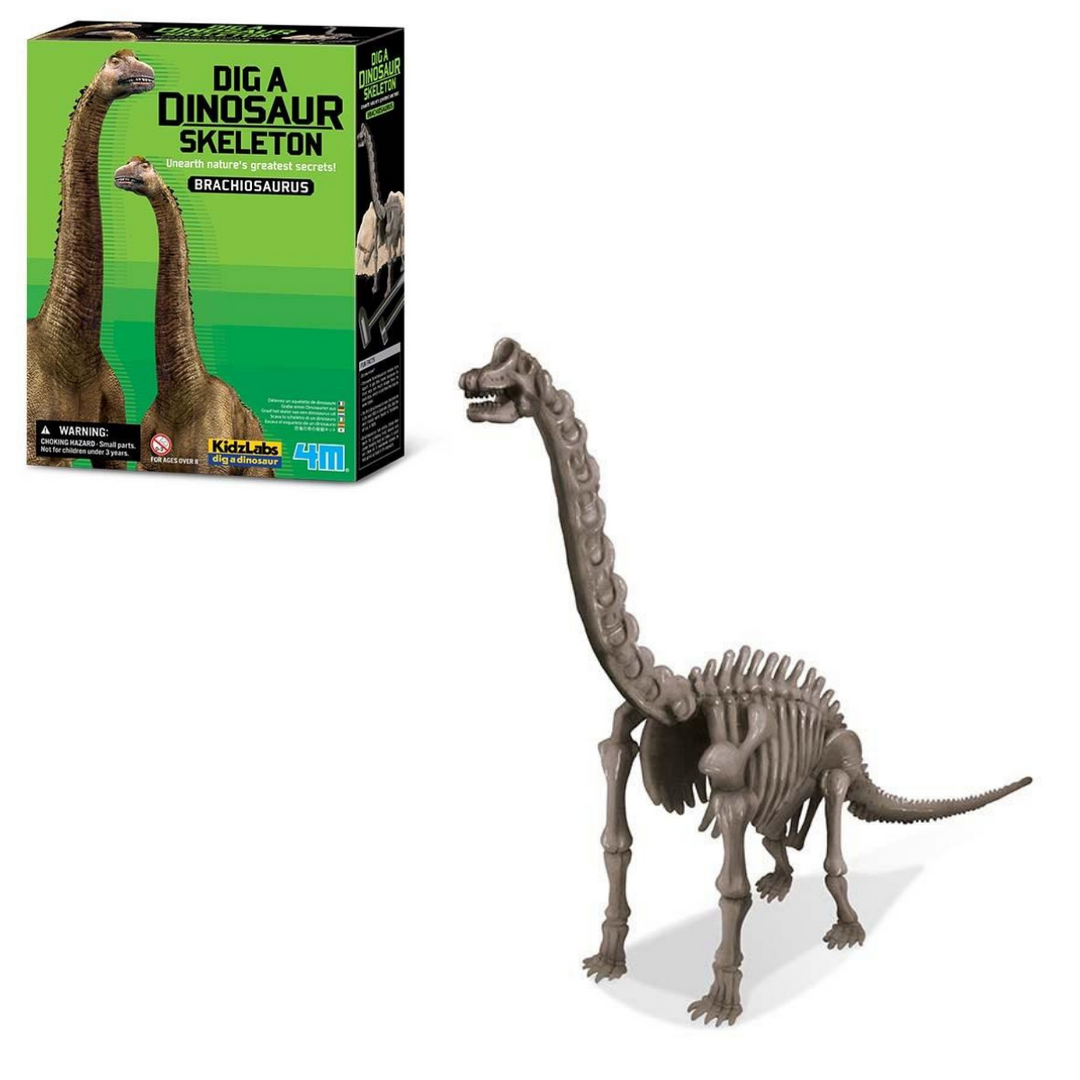 Experimento Arqueología Brachiosaurus