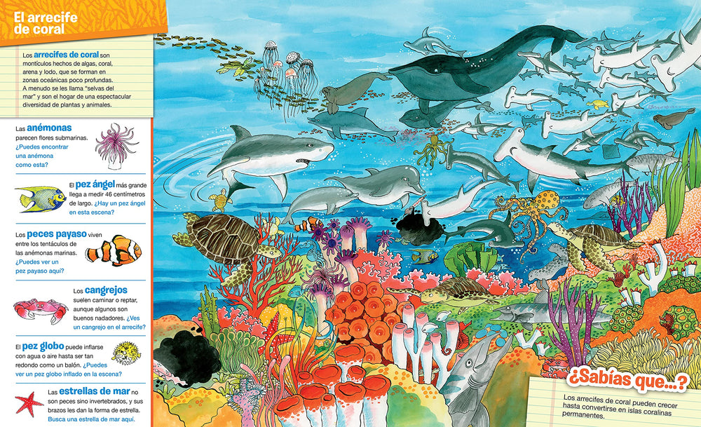 Libro De Actividades Busca Y Encuentra Animales