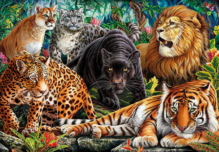 Rompecabezas 500 Piezas Felinos Leon Trigre